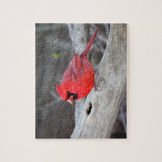 Kardinal in Holz Puzzle (Vertikal)