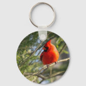 Kardinal in Kiefern Schlüsselanhänger (Vorderseite)