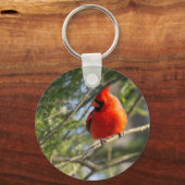 Kardinal in Kiefern Schlüsselanhänger (Vorderseite)
