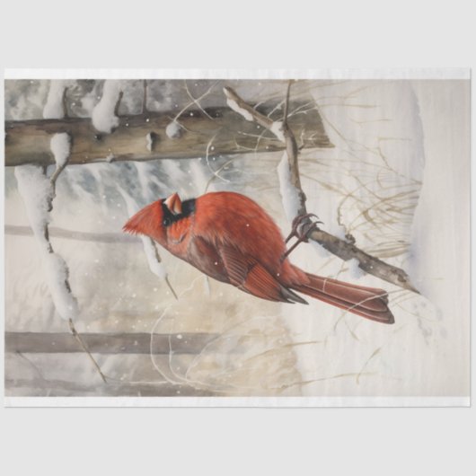 Kardinal in Schnee 3 Dekoupage Seidenpapier (Vorderseite)