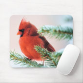 Kardinal in Schnee abgewischter Tanne Mousepad (Mit Mouse)