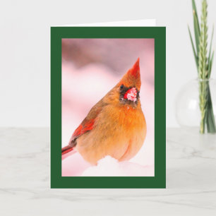 KARDINAL IN SCHNEE LEERE WEIHNACHTSKARTE