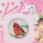 Kardinal in schneebedecktem Tannenbaum Pappteller (Party)