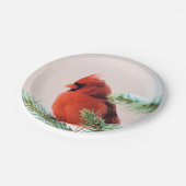 Kardinal in schneebedecktem Tannenbaum Pappteller (Schrägansicht)