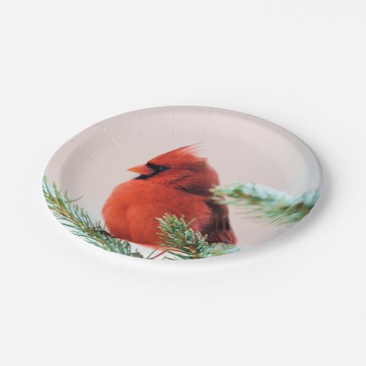 Kardinal in schneebedecktem Tannenbaum Pappteller (Schrägansicht)