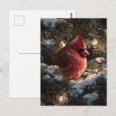 Kardinal in schneebedeckter Kiefer Postkarte (Vorne/Hinten)