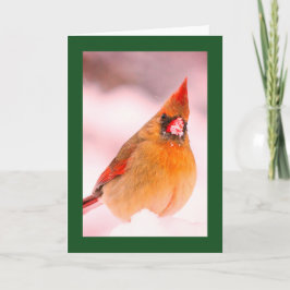 KARDINAL IN SCHNEEBLANK CHRISTMAS CARD