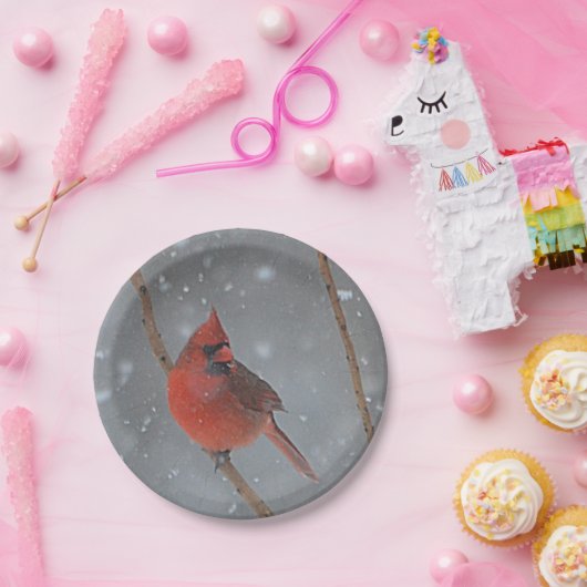 Kardinal in Schneepapierplatten Pappteller (Party)