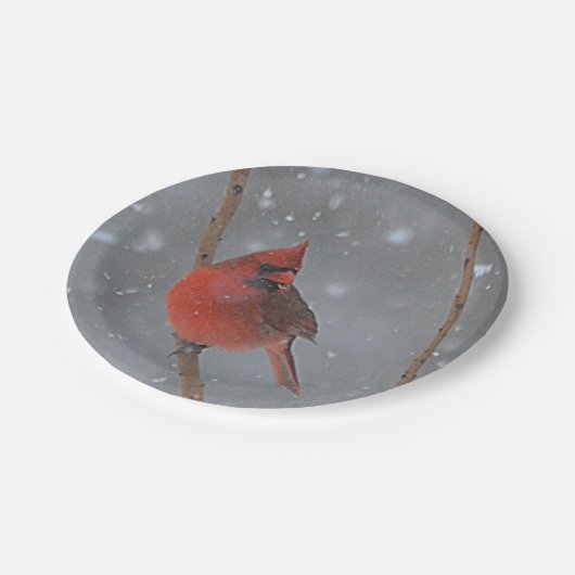 Kardinal in Schneepapierplatten Pappteller (Schrägansicht)