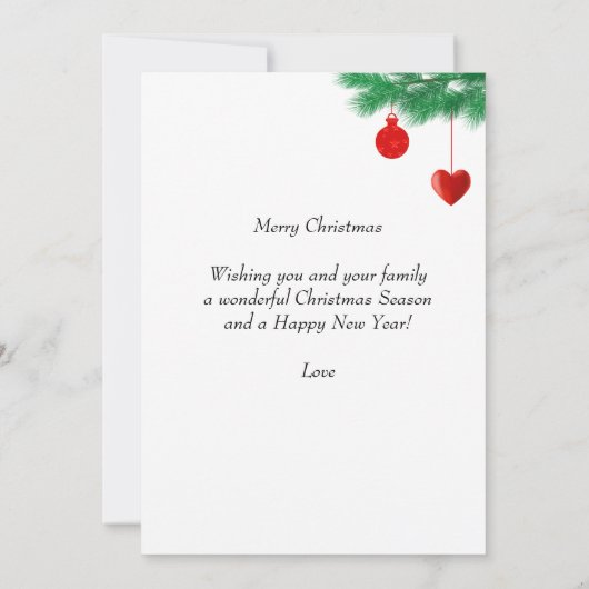 Kardinal in Schwarz und Rot (Rückseite)