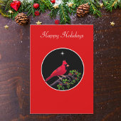 Kardinal in Schwarz und Rot