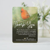 Kardinal in Spruce 3.5 x 5 Beileid Dankeschön Kart (Stehend Vorderseite)