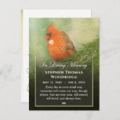 Kardinal in Spruce Beileid Danke PostCard Postkarte (Vorne/Hinten)