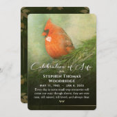 Kardinal in Spruce Feier des Fotos Leben 12x18 Einladung (Vorne/Hinten)