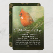 Kardinal in Spruce Feier zum Leben 12x18 Einladung (Vorne/Hinten)