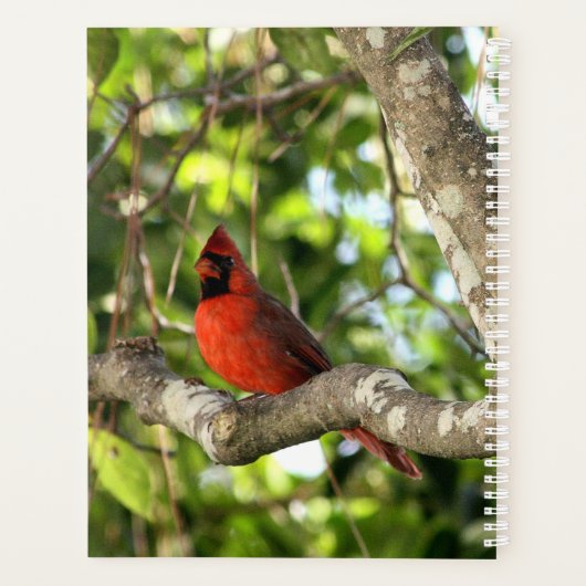 Kardinal in Tree Personalisiert Planer (Rückseite)