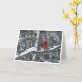 Kardinal in verschneiten Zweigen Karte (Gelbe Blume)