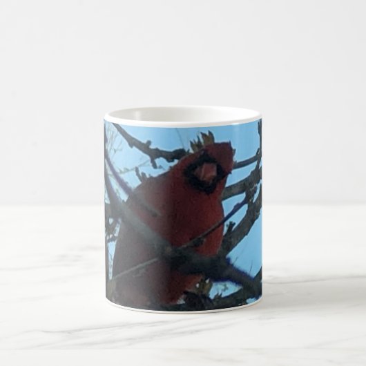 Kardinal Kaffeetasse (Mittel)