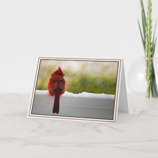 Kardinal Karte (Vorderseite)