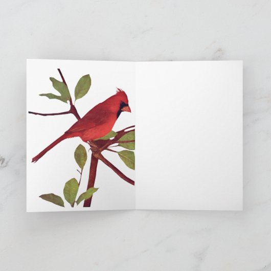 Kardinal Karte (Innenseite)