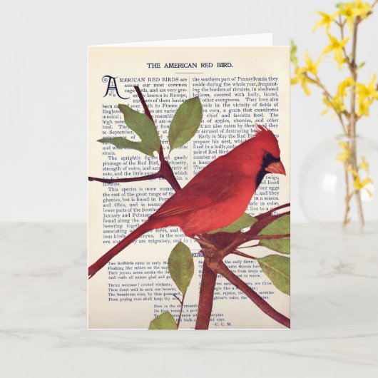 Kardinal Karte (Gelbe Blume)