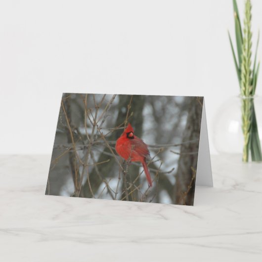 Kardinal Karte (Vorderseite)