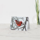 Kardinal Karte (Vorderseite)