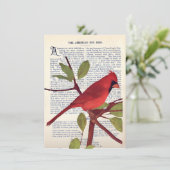 Kardinal Karte (Stehend Vorderseite)