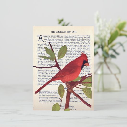 Kardinal Karte (Stehend Vorderseite)