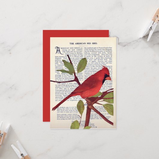 Kardinal Karte (Vorderseite/Rückseite Beispiel)