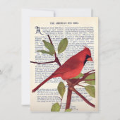 Kardinal Karte (Vorderseite)