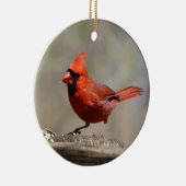 Kardinal Keramikornament (Rechts)