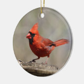 Kardinal Keramikornament (Links)