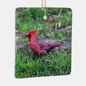 Kardinal Keramikornament (Rechts)
