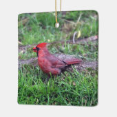Kardinal Keramikornament (Links)
