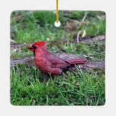 Kardinal Keramikornament (Rückseite)