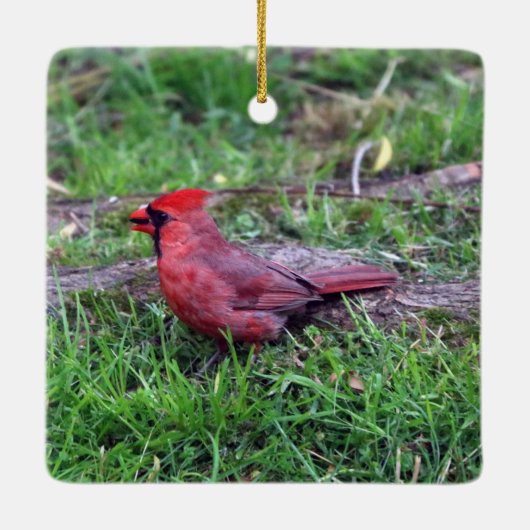 Kardinal Keramikornament (Rückseite)