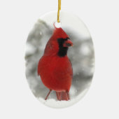 Kardinal Keramikornament (Vorne)