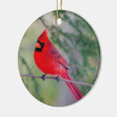 Kardinal Kontrast Keramik Ornament (Links)