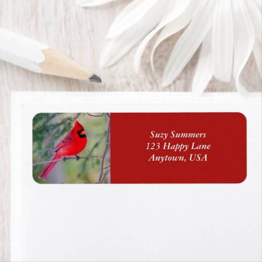 Kardinal-Kontrast-Label (Insitu)