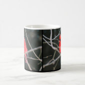 Kardinal-Kontraste Kaffeetasse (Mittel)