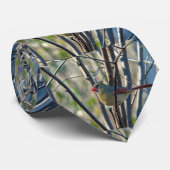 Kardinal Krawatte (Gerollt)