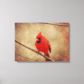 Kardinal Leinwanddruck (Vorderseite)