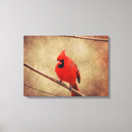 Kardinal Leinwanddruck