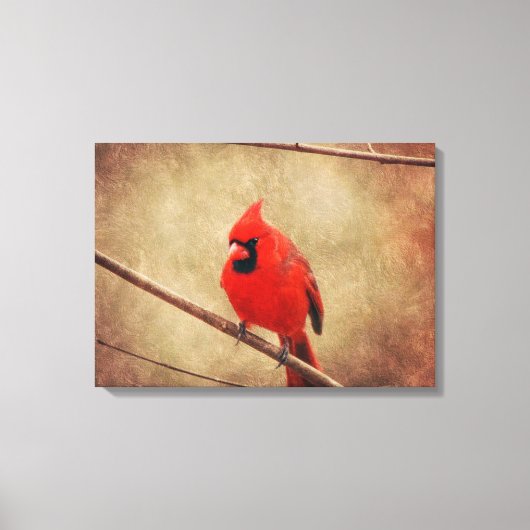 Kardinal Leinwanddruck (Vorderseite)