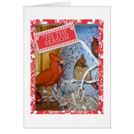 "Kardinal Liebe Note Card"