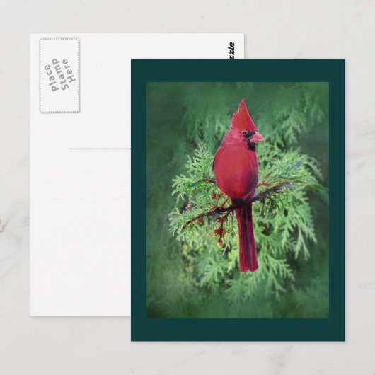 Kardinal Locarno Postkarte (Vorne/Hinten)