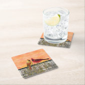 Kardinal Lovebirds Paper Untersetzer (Vor Ort)