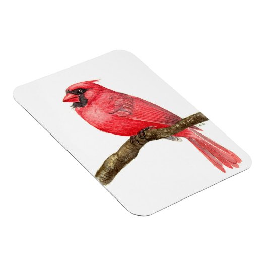 Kardinal Magnet (Rechte Seite)