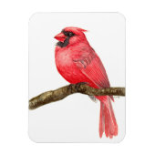 Kardinal Magnet (Vertikal)